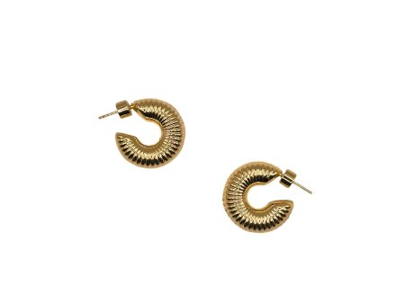 Grayson Gold Plated Earrings For Cheap