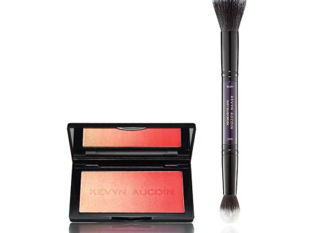 The Neo-Blush & Duet Blush Brush Duo For Sale