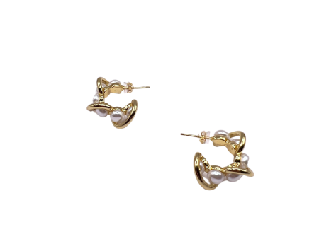 Caryn Gold Plated Earrings For Discount