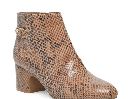 ANNE KLEIN Womens Brown Snake Print Strap Accent Cushioned Studded Hilda Almond Toe Block Heel Zip-Up Booties M Fashion