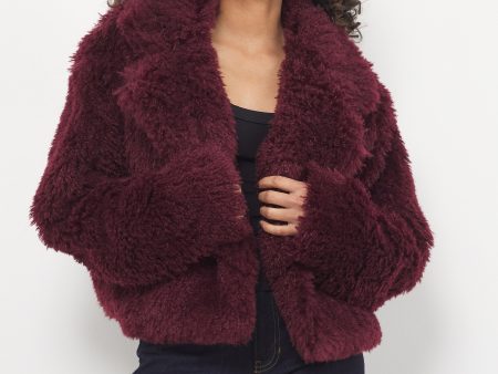 Chic Affair Burgundy Jacket Online now